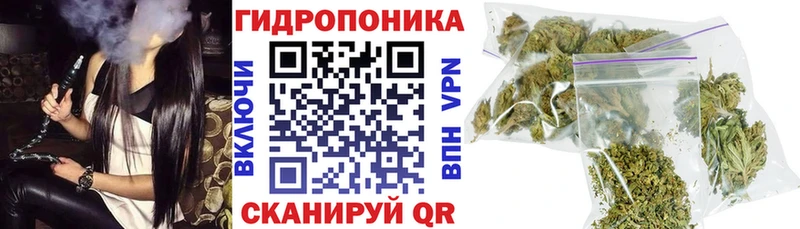 гидра ONION  Димитровград  Конопля план 